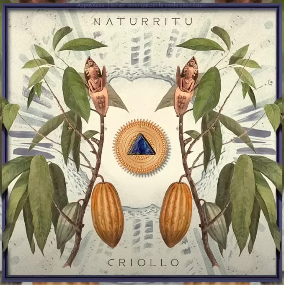 N Λ T U R R I T U - CRIOLLO (Organic Downtempo / Folktronica / Chillout)